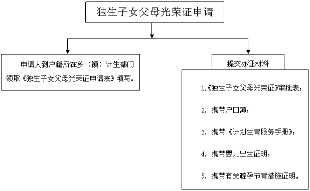 德保縣人口和計劃生育局辦理《獨生子女父母光榮證》流程圖